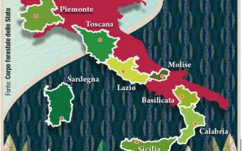 Un terzo del territorio è verde Le foreste conquistano l’Italia