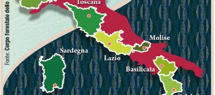Un terzo del territorio è verde Le foreste conquistano l’Italia