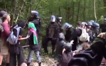Francia, manifestazione anti-diga. Muore un ragazzo di 21 anni