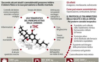 Cannabis dai medici di famiglia In Toscana via alle terapie gratuite