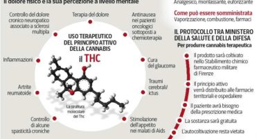 Cannabis dai medici di famiglia In Toscana via alle terapie gratuite