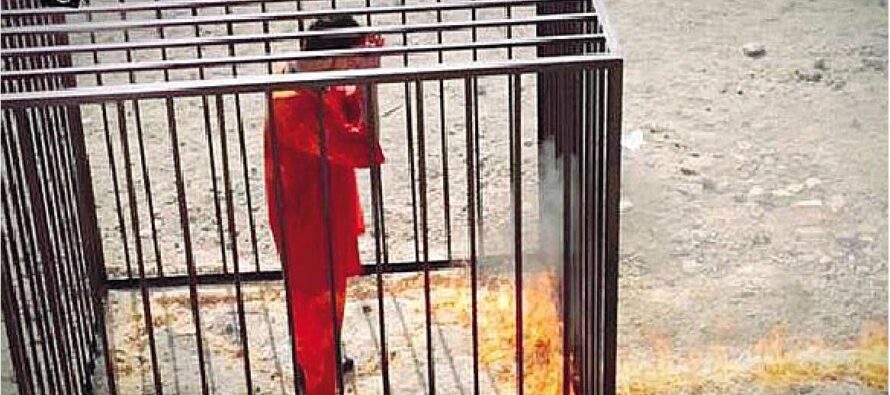 Il supplizio del pilota giordano Dato alle fiamme in una gabbia