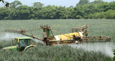 La Svizzera vota il bando ai pesticidi