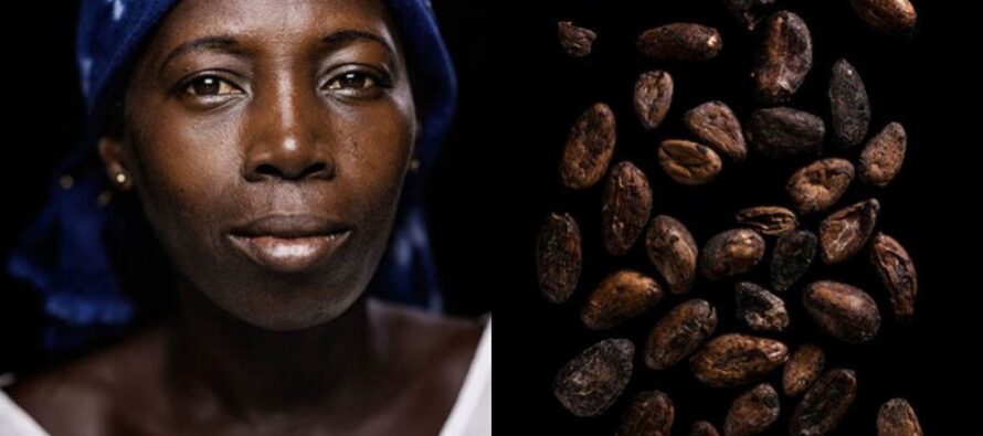 Bambini schiavi nei campi di cacao Nestlé sotto accusa