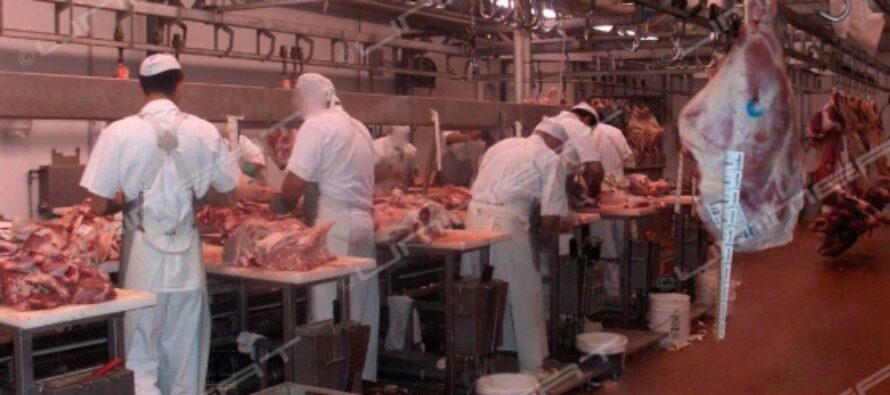 Epidemie zoonotiche. Good Food Campaign: «La carne fa male alla Cina»