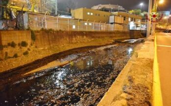 Petrolio, disastro ecologico sul fiume Polcevera