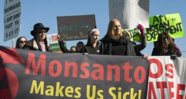 Bayer-Monsanto, la fusione moltiplica i pericoli