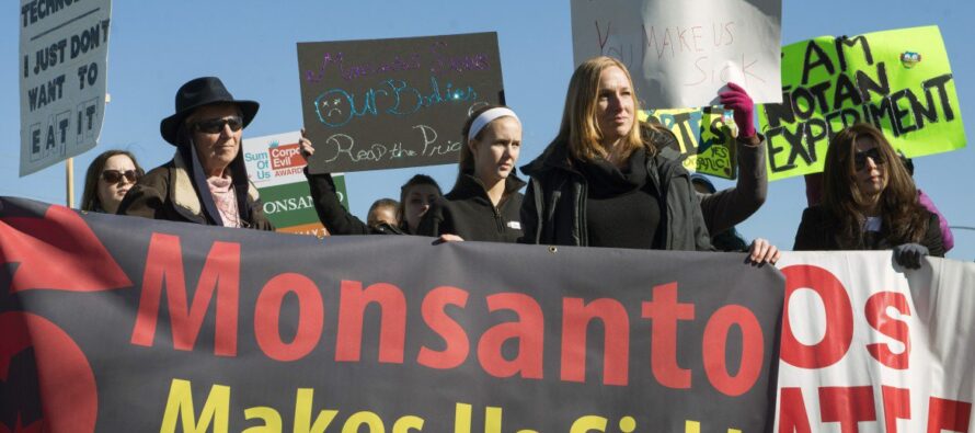 Bayer-Monsanto, la fusione moltiplica i pericoli
