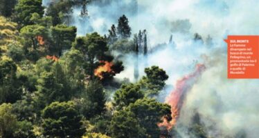 La Sicilia va in fiamme centinaia di roghi e scuole evacuate “Atti dolosi e criminali”