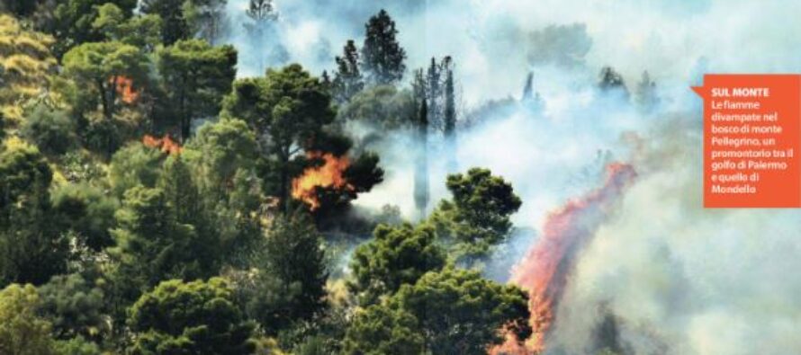 La Sicilia va in fiamme centinaia di roghi e scuole evacuate “Atti dolosi e criminali”