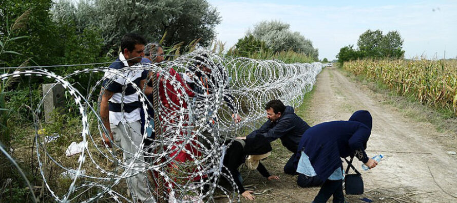 Rotta balcanica, la nuova rotta dei migranti in Bosnia spaventa l’Ue