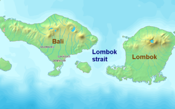 Indonesia, almeno 142 i morti nel terremoto a Lombok