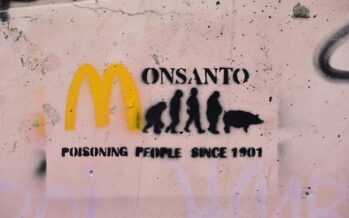 Crollo in borsa per la Bayer dopo la condanna della Monsanto sul glifosato