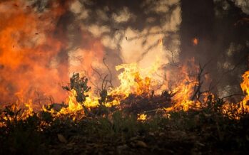 Incendi: in cenere ogni anno un’area verde pari al lago di Garda