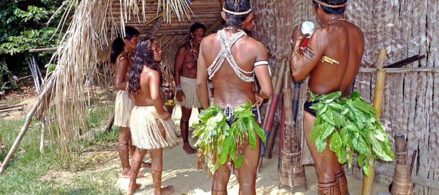 Al Sinodo sull’Amazzonia invitati indios e ambientalisti, no a Bolsonaro