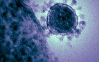 Coronavirus. I numeri continuano a crescere, medici costretti in quarantena