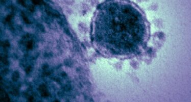 Coronavirus. Il virus di Wuhan si diffonde, per l’Oms «Alto rischio»