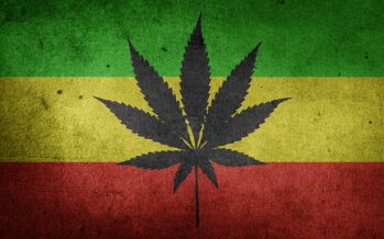 Droghe. All’ONU finalmente riconosciuto il valore terapeutico della Cannabis
