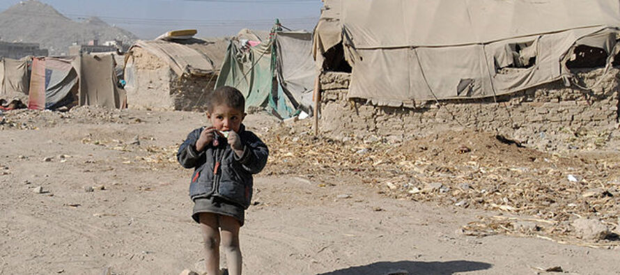Afghanistan alla fame, la crisi umanitaria mieterà più vittime della guerra