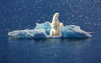 Rapporto dell’IPCC. La rimozione della questione climatica