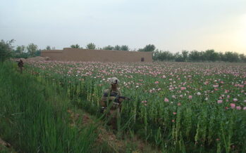 Afghanistan. La messa al bando dell’oppio è finta: «I Talebani ci si arricchiscono»