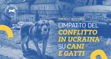 Ucraina, un anno di guerra anche all’ambiente e agli animali