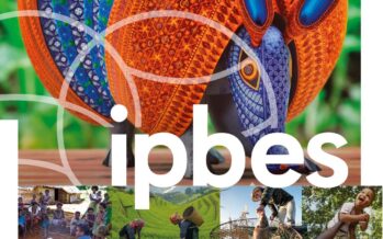 Rapporto IPBES. «500mila specie a rischio entro il secolo»