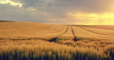 Ucraina. Mosca scatena la crisi del grano e poi offre la soluzione