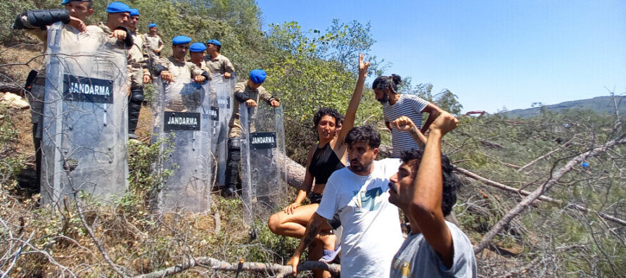 Turchia. A migliaia sfidano la polizia per difendere la foresta di Akbelen