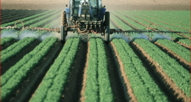 La Commissione UE rottama il Green Deal su emissioni e pesticidi